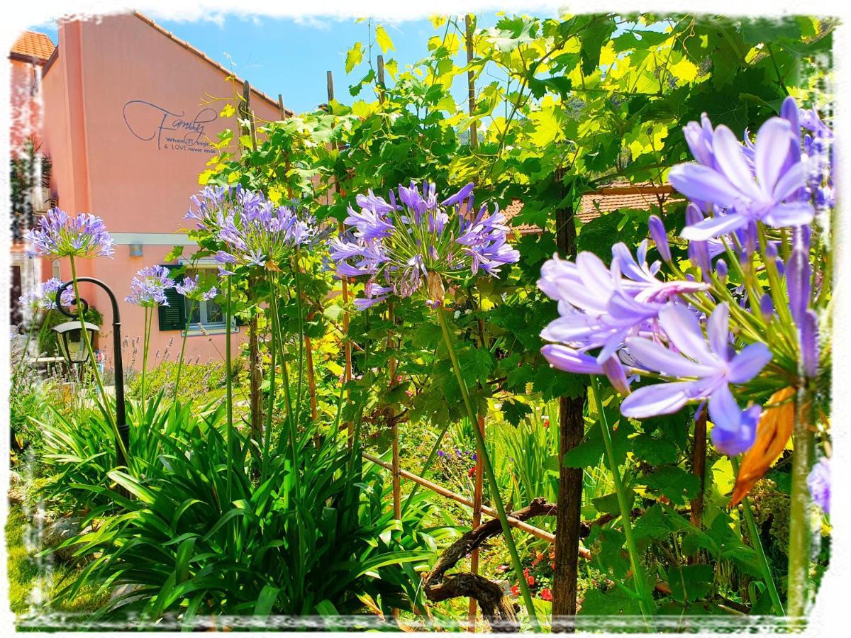 Casa Vacanze Family Albisola Superiore Extérieur photo